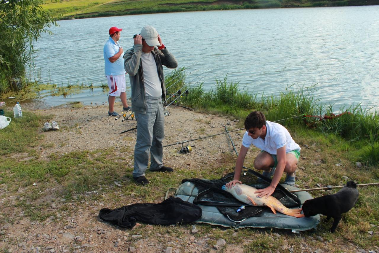 Cupa Carpbook Sulimanu 28-29 iunie 2014 - 19.JPG